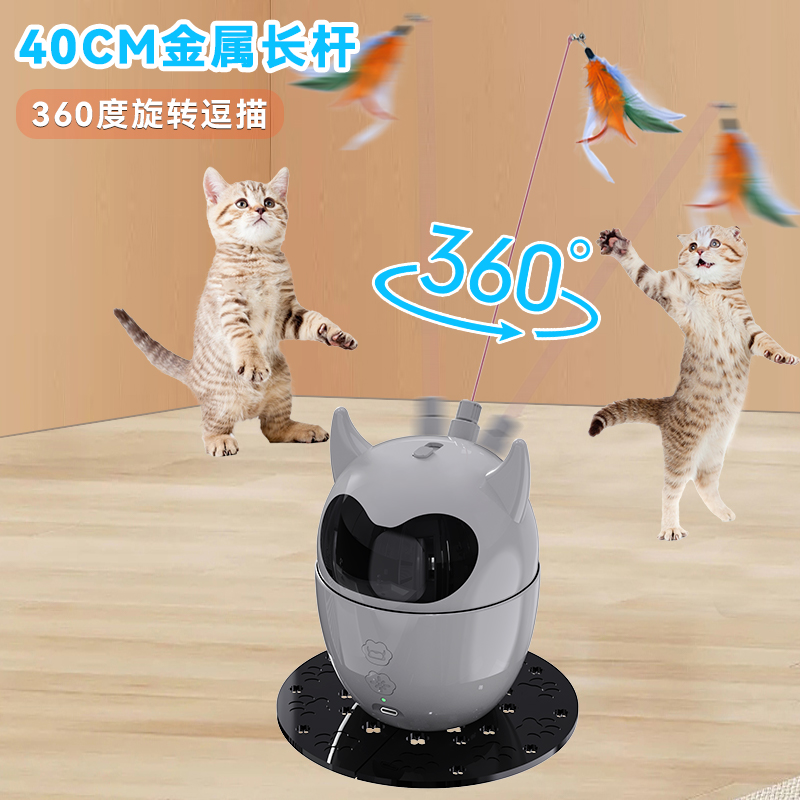 Multifunctional cat ticker